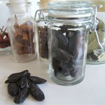 tonkabohnen-w800 (Tonkabohne)