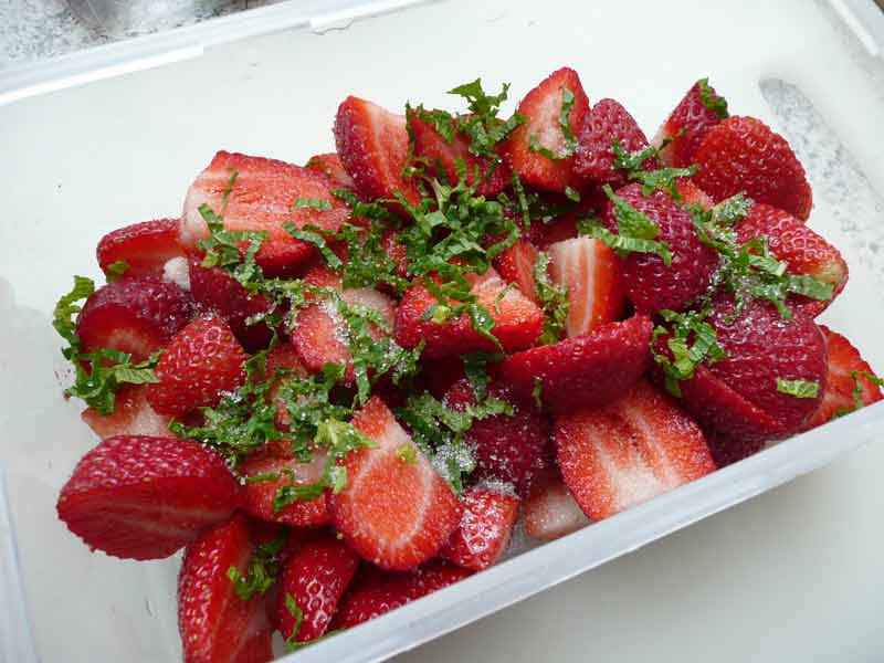 erdbeeren-mit-minze-und-zucker erdbeeren-mit-minze-und-zucker