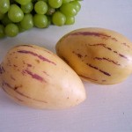 Birnenmelone (Birnenmelone)