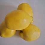 Quitten (Quitten)