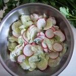 Gurken-Radieschensalat mit Joghurt-Wasabidressing (Gurken-Radieschensalat mit Joghurt-Wasabidressing)