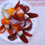 Gefüllte Taglilien (Gefüllte Taglilien)