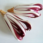 Radicchio Rosso di Treviso (Radicchio aus Treviso)