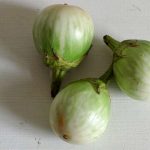 Babyauberginen_ji-W800 (Babyauberginen)